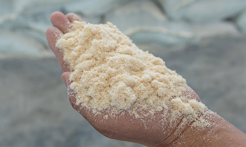 Wood Powder